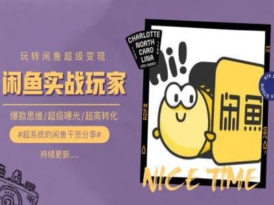 闲鱼变现全攻略 手把手打造爆款 曝光翻倍 转化率飙升
