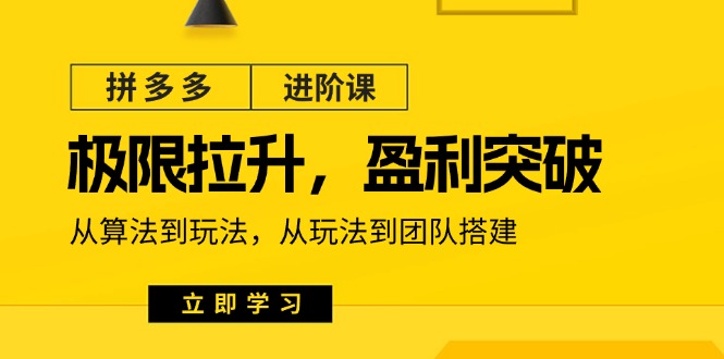 拼多多进阶课 算法解析+盈利策略+团队构建全攻略