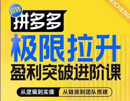 拼多多盈利突破进阶课 算法玩法+团队搭建 体系化提升利润-九零创业网