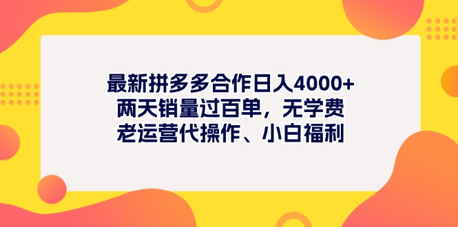拼多多新项目 日赚4000+ 两天百单 免费教学 小白福利