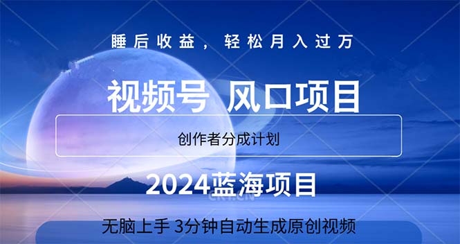 2024蓝海项目揭秘 轻松月入过万 投资新机遇