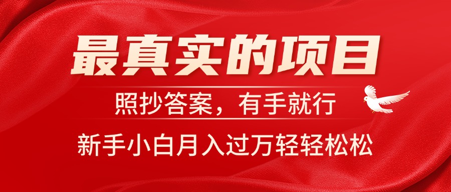 新手小白轻松月入过万 11362期项目实操指南