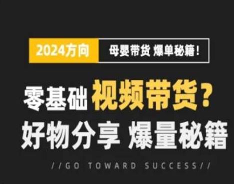 短视频母婴带货实战营 零基础学流量 爆款秘籍分享