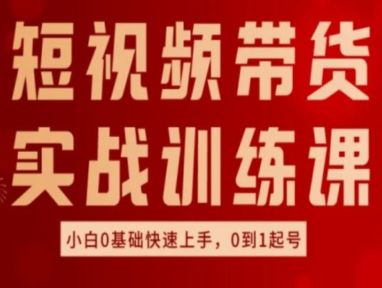 短视频带货实战课 小白0基础 好物分享 快速起号入门