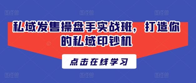 私域发售大师班 打造印钞级私域流量神器-九零创业网