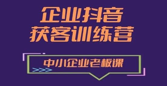 抖音营销赢客增长秘籍 中小企业老板必学训练营
