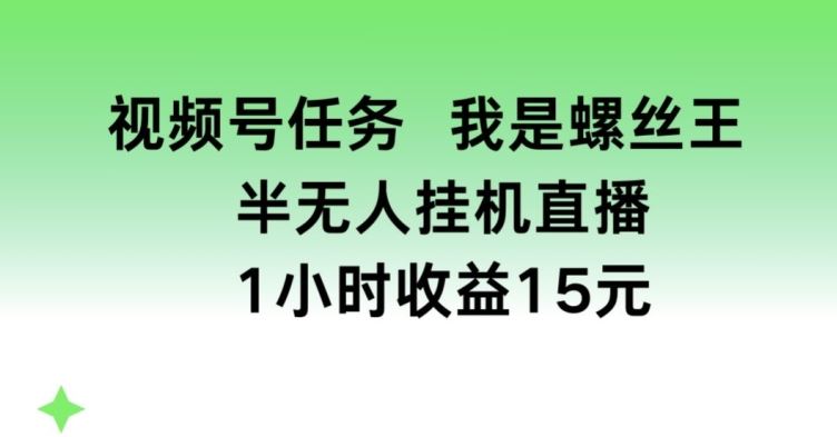 螺丝王揭秘 半无人挂机 视频号1小时赚15元-九零创业网
