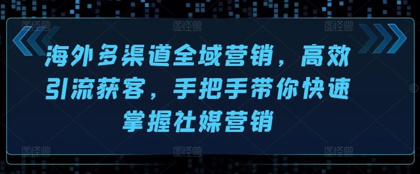 海外社媒营销全攻略 高效引流 手把手教你精准获客