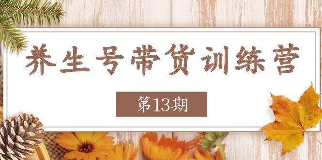 第13期养生带货营 收益稳增秘籍大公开-九零创业网