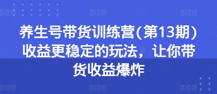 第13期养生带货营 收益翻倍秘籍大公开-九零创业网