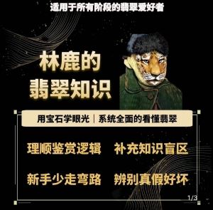 林鹿翡翠秘籍 深度解析翡翠之美-九零创业网