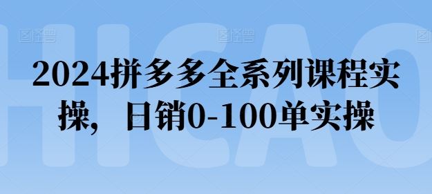2024拼多多课程实操 日销破百 实战技巧揭秘-九零创业网