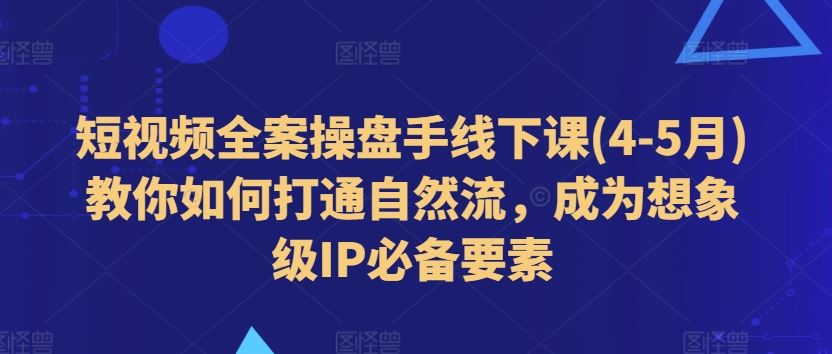 短视频全案操盘手线下课 解锁自然流 打造想象级IP秘籍-九零创业网