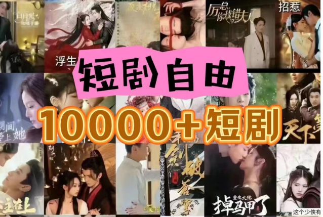 自建短剧库 网盘拉新变现 私域运营新策略-九零创业网