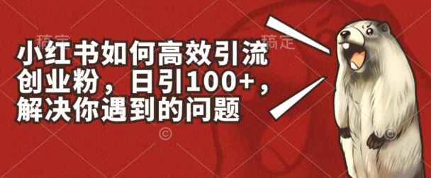 小红书创业引流秘籍 日增百粉 轻松突破-九零创业网
