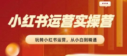 2024小红书运营全攻略 从新手到大师 轻松实现粉丝破百-九零创业网
