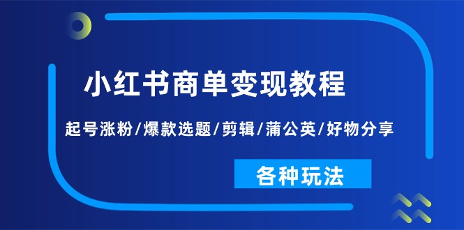 小红书商单变现攻略 涨粉秘籍+爆款打造 多玩法解锁-九零创业网