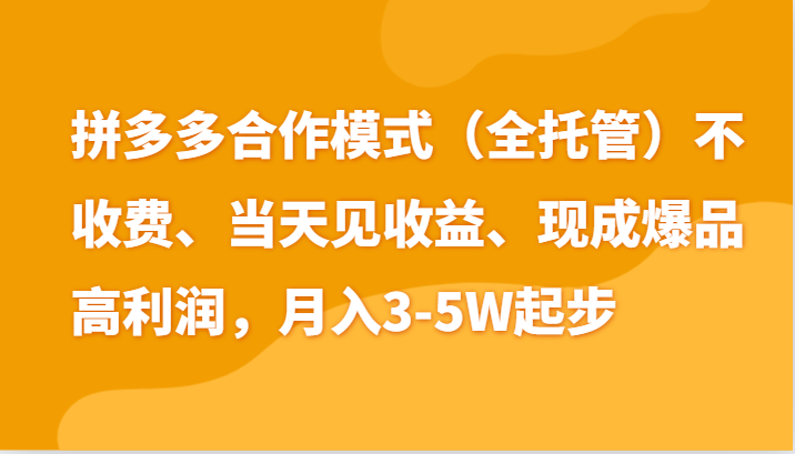 拼多多新玩法 日入4K+ 两天百单 老运营手把手教学 小白福利来袭-九零创业网