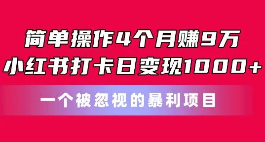 小红书月入过万秘诀 4月轻松赚9万 实操项目曝光-九零创业网