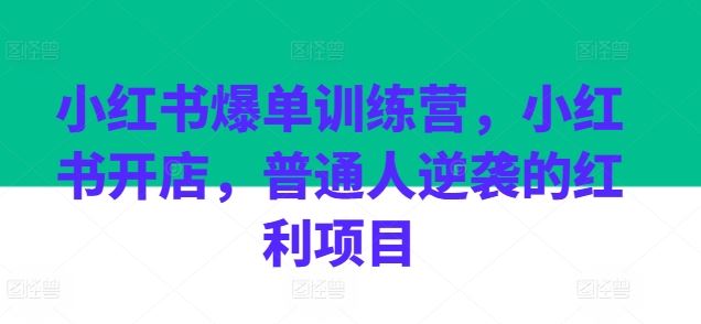 小红书开店秘籍 普通人逆袭的爆单红利新机遇-九零创业网