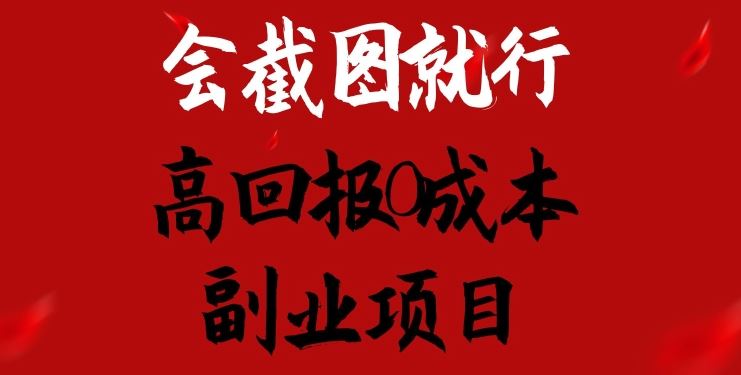 离婚模板副业 低成本日入1500+ 揭秘高回报截图法-九零创业网