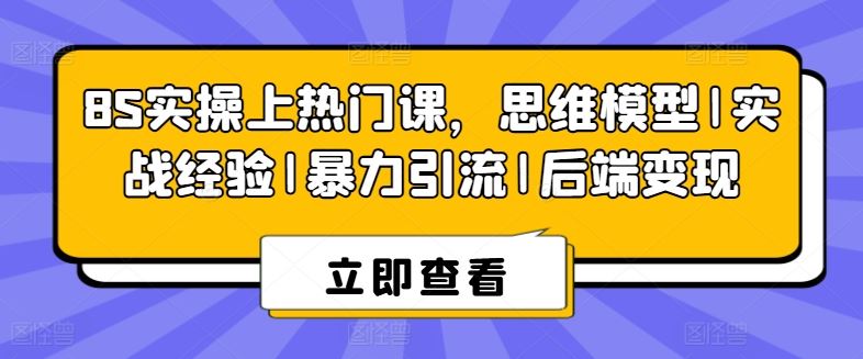 8S实操热门课 思维模型+实战引流 变现秘籍一网打尽-九零创业网