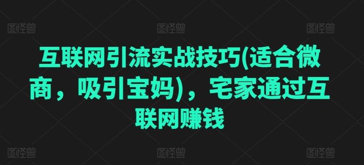 宅家宝妈 微商引流秘籍 轻松赚钱新攻略-九零创业网