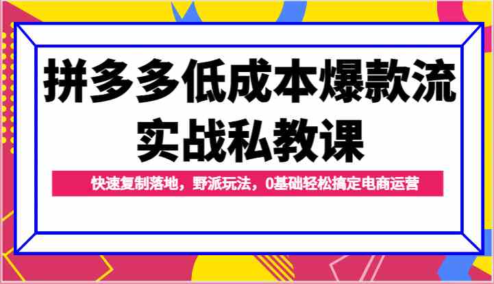 拼多多低成本爆款秘籍 零基础电商运营速成