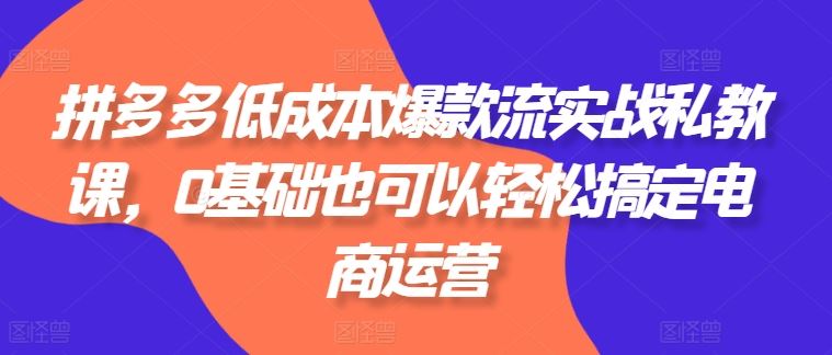 拼多多低成本爆款实战课 电商小白也能轻松掌握