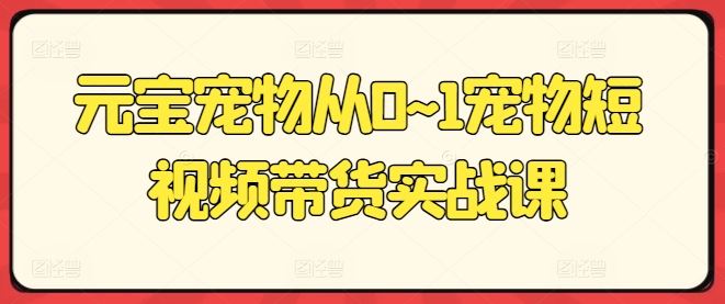 元宝宠物短视频带货课 从零到一打造爆款-九零创业网
