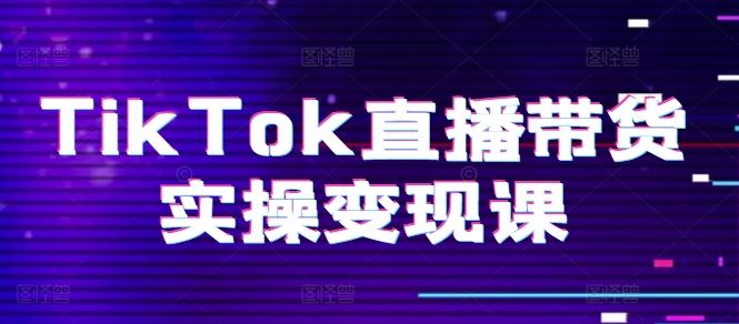 TikTok直播带货全攻略 起号复盘 变现链路 团队搭建-九零创业网