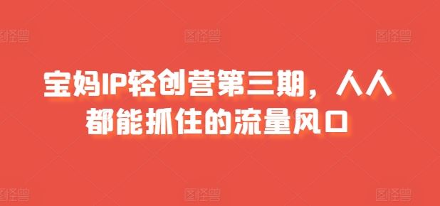 宝妈IP轻创营三期 流量风口 宝妈必抓机遇-九零创业网