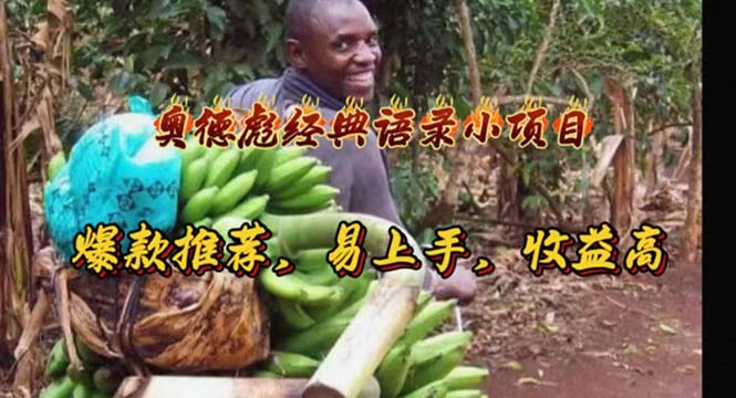 奥德彪金句新解 爆款速成 高收益秘籍