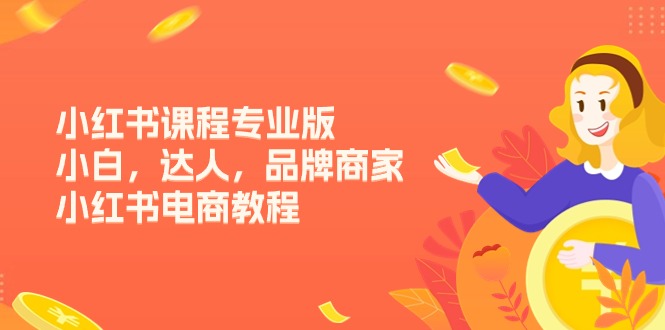 小红书电商全攻略 小白进阶达人 品牌商家必学教程15节-九零创业网