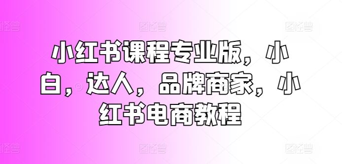 小红书专业版教程 小白进阶 达人变现 品牌电商攻略-九零创业网
