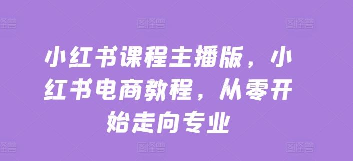从零起步 小红书主播电商教程 专业之路一课掌握-九零创业网