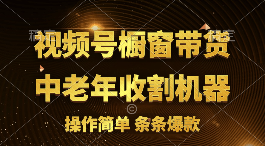11009期孩子高位成就爆款 橱窗带货流量分成揭秘-九零创业网