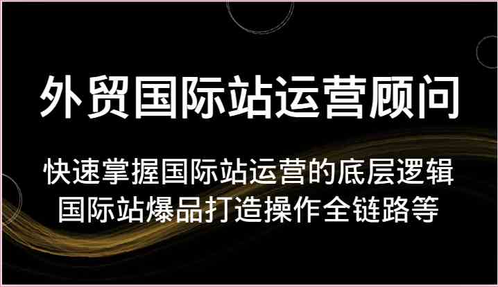 外贸顾问速成 国际站运营逻辑与爆品打造全攻略