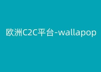 Wallapop Kim跨境电商攻略 C2C平台操作指南
