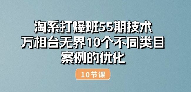 淘系万相台55期 10类目案例万相台优化技巧解析