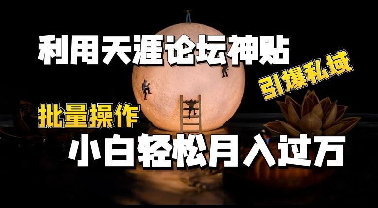 天涯神帖引爆私域 小白月入过万秘诀大公开