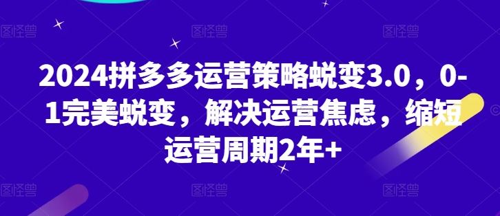 拼多多运营策略蜕变3.0 2年速成 告别焦虑 完美启航-九零创业网