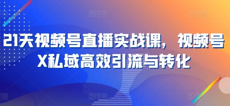 21天视频号直播课 高效引流转化秘籍速成