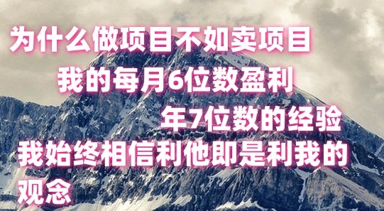 卖项目月入六位 年赚七位数 轻松盈利秘诀-九零创业网