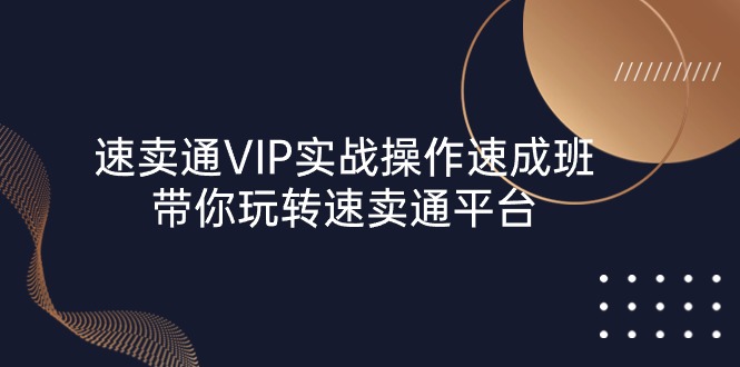 速卖通VIP速成班 23节课程 玩转平台实战技巧