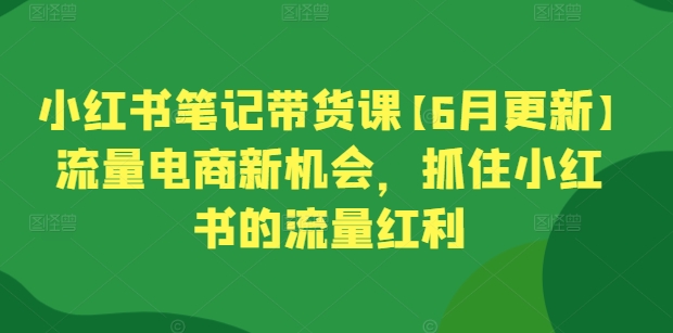 6月新攻略 小红书流量红利 电商新风口 带货课助你乘风破浪