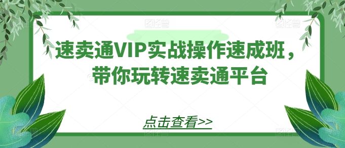 速卖通VIP实战速成班 玩转平台技巧全解析