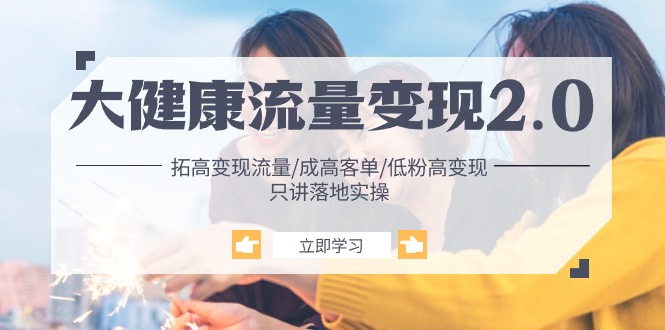 大健康流量变现2.0 实战攻略 提升转化 高客单价 低粉高效