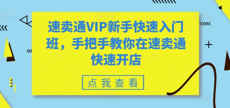 速卖通VIP新手班 手把手教你快速开店-九零创业网