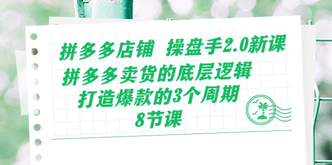 拼多多爆款操盘手2.0 揭秘底层逻辑 3周期打造爆款秘籍-九零创业网